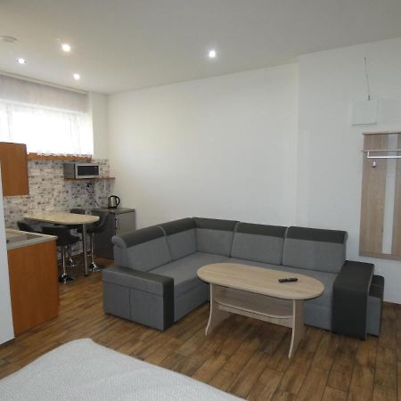 Apartament Bielsko エクステリア 写真