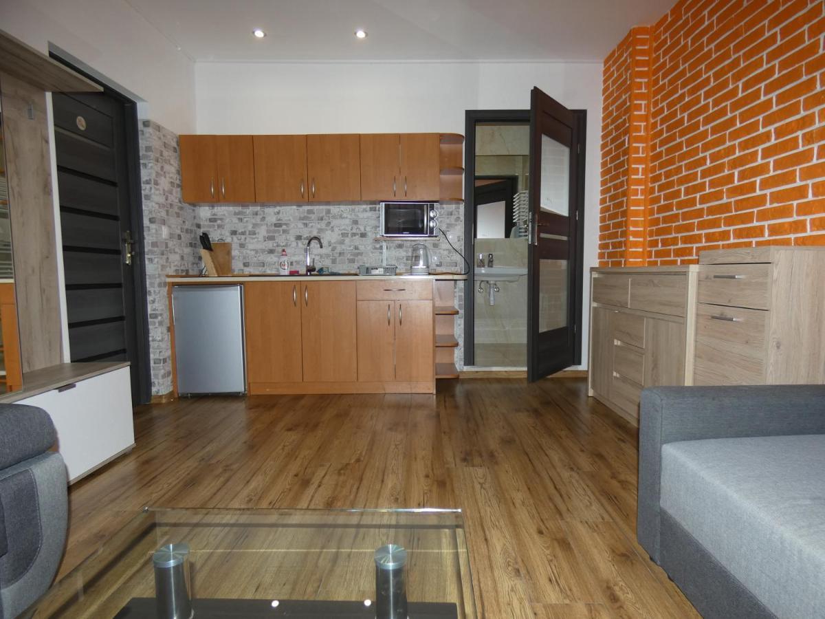 Apartament Bielsko エクステリア 写真