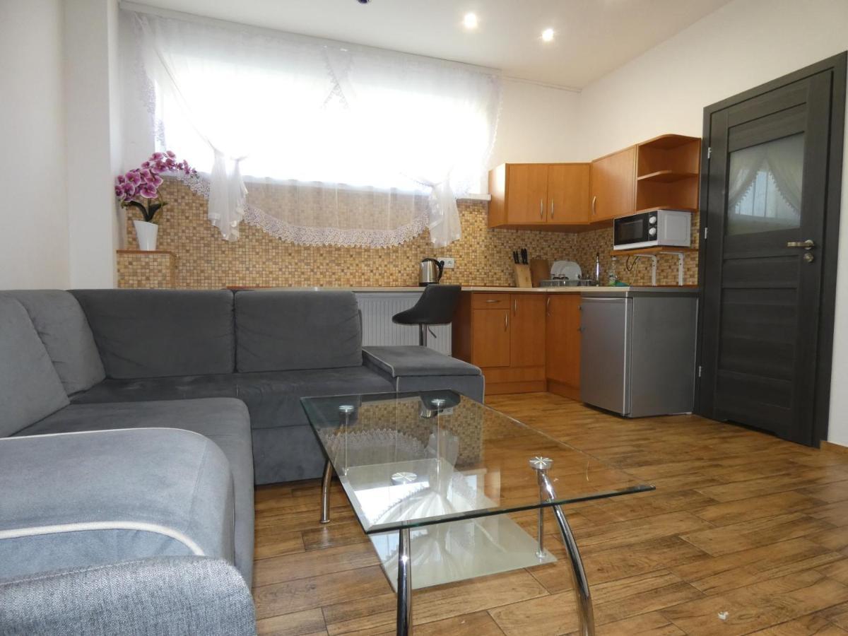 Apartament Bielsko エクステリア 写真