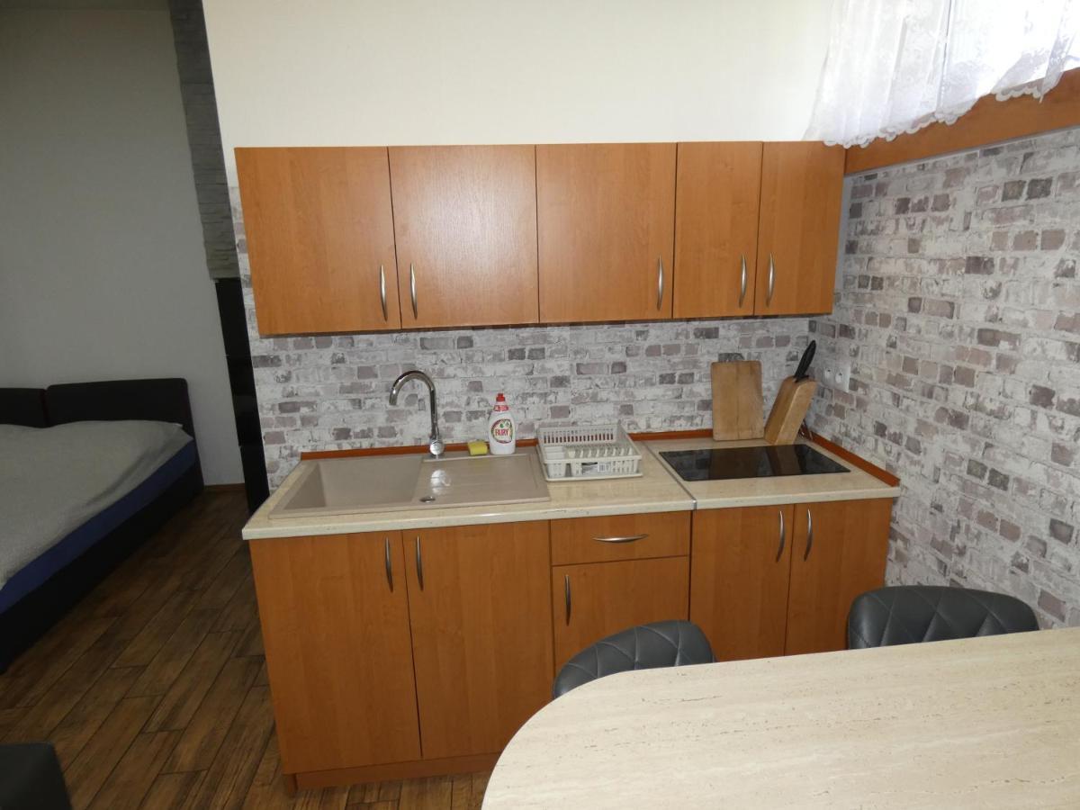 Apartament Bielsko エクステリア 写真